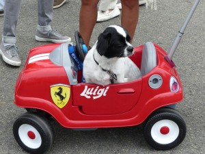 Luigi and his Ferrari